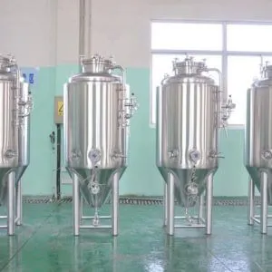 3BBL Beer Fermentation Tank