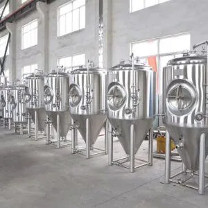 5BBL Beer Fermentation Tank