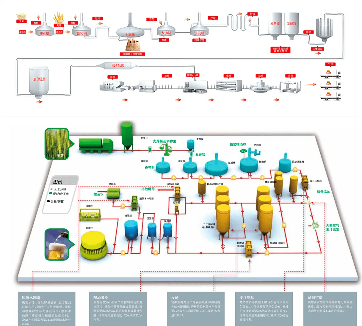 Beer brewing process