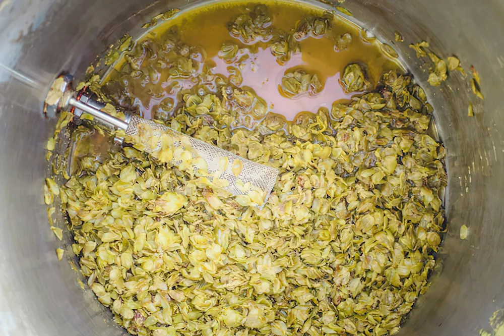 boil wort boil wort